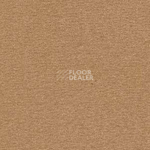 Ковролин Radici Nexus Gazzella 8203 фото 1 | FLOORDEALER